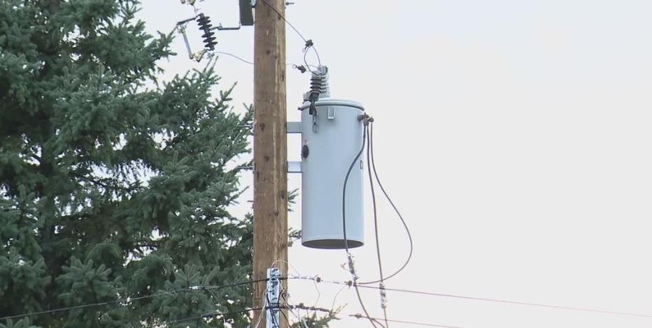 DTE power surge ruins appliances for some residents in Allen Park
