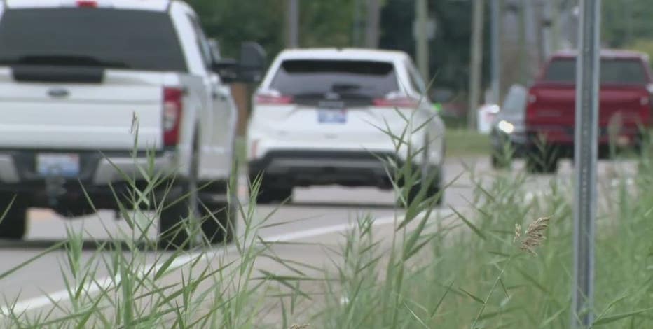 Toddler wanders onto 21 Mile, saved by good Samaritans in Macomb Township