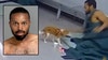 Genesee County inmate attacks comfort dog inside jail