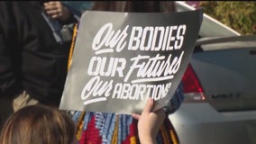 After riding abortion issue to victory in 2022, Michigan Democrats hope to do it again in 2024