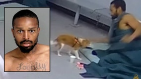 Genesee County inmate attacks comfort dog inside jail