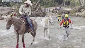 Michigan Humane crew works to save pets - and horses amid NC hurricane devastation