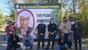 International non-profit plants trees at Bald Mountain State Recreation Area