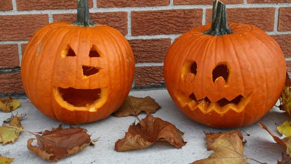Halloween weather forecast: What to expect for trick-or-treating in Metro Detroit