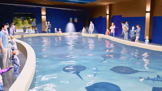Detroit Zoo announces new 7-acre immersive experience where guests can pet stingrays, brush goats