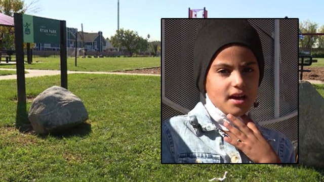 'Just came out of nowhere': 73-year-old man slashes 7-year-old girl at Detroit park