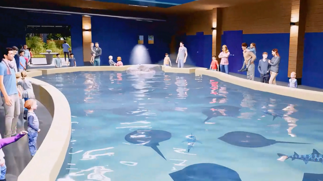Detroit Zoo announces new 7-acre immersive experience where guests can pet stingrays, brush goats
