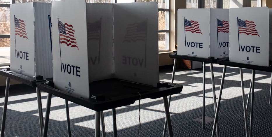 What's on my ballot for the November election in Michigan?