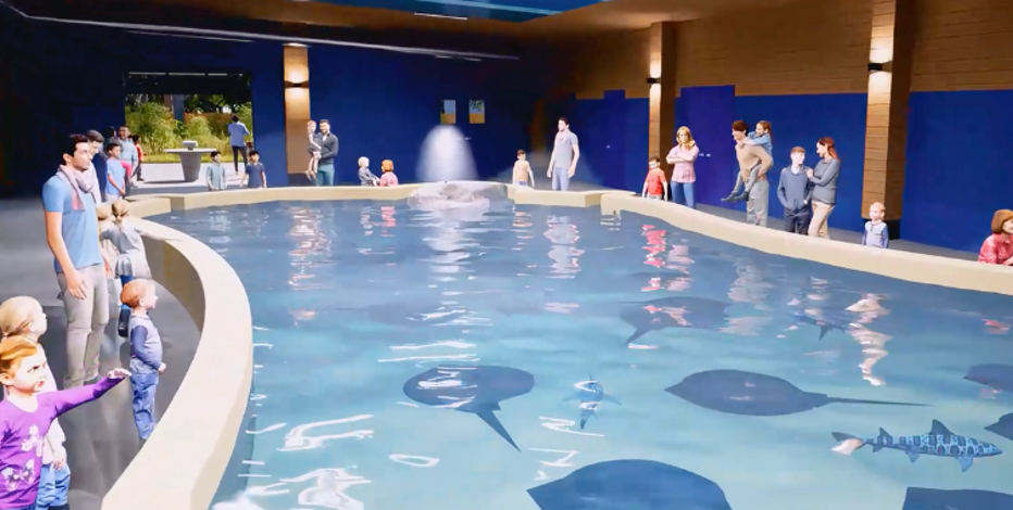 Detroit Zoo announces new 7-acre immersive experience where guests can pet stingrays, brush goats