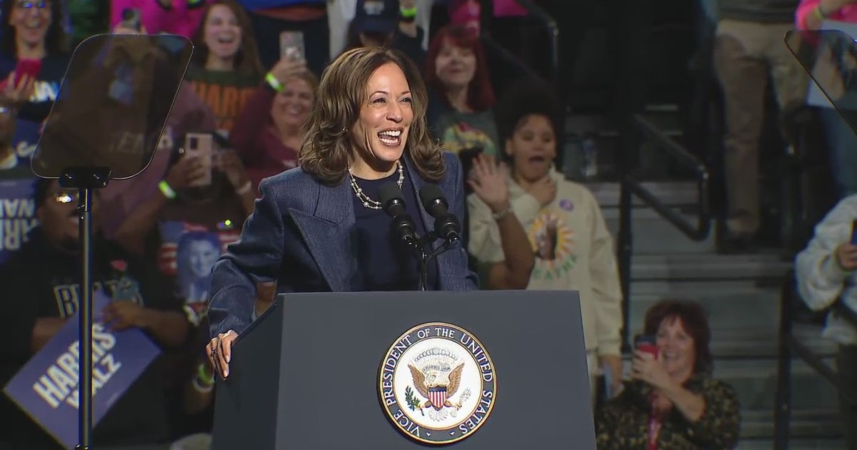 Kamala Harris makes final pitch to Michigan as election looms | FOX 2 ...