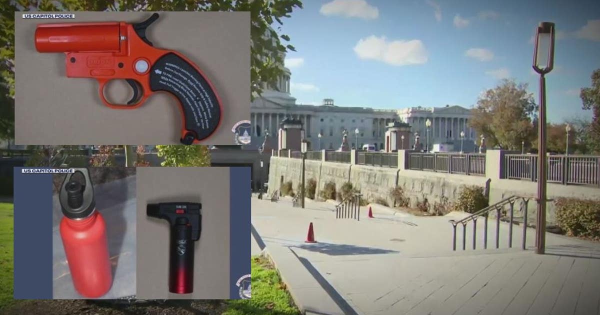 Election Day arrest at US Capitol armed with flare gun, gasoline was ...