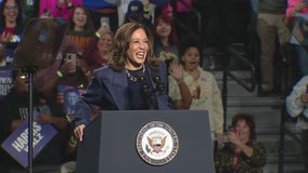 Kamala Harris makes final pitch to Michigan as election looms