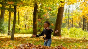 Huron-Clinton Metroparks free for everyone Monday in celebration of Veterans Day