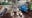 Over $300,000 of drugs confiscated during search warrant on Grayton Street in Detroit