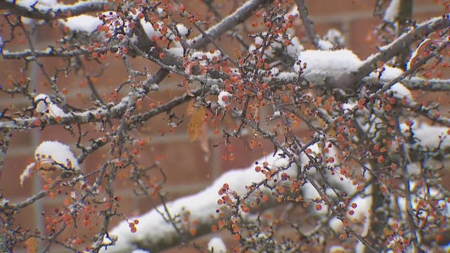 Southeast Michigan snow forecast: How much to expect Wednesday