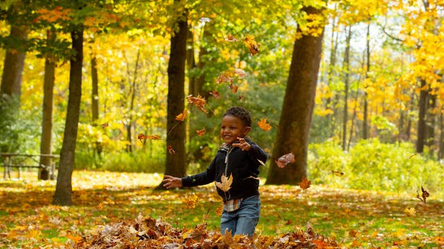 Huron-Clinton Metroparks free for everyone Monday in celebration of Veterans Day