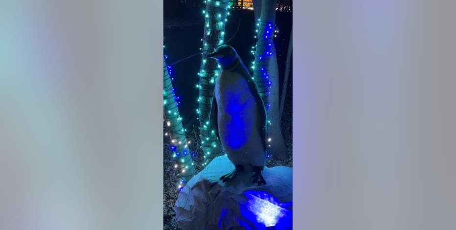 Wild Lights at the Detroit Zoo starts this weekend -- What to expect this season