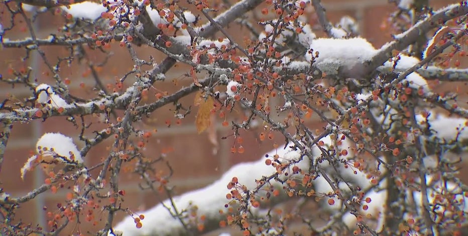 Southeast Michigan snow forecast: How much to expect Wednesday