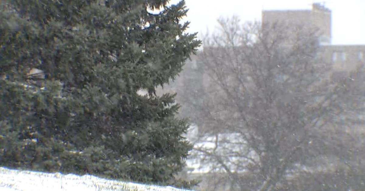 Metro Detroit weather: Light snow to end the weekend | FOX 2 Detroit