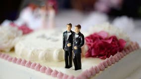 Gay marriage in Michigan: Lawmakers push to codify rights banned by state constitution