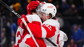 Red Wings snap 5-game losing streak with a 6-5 shootout win over the Sabres