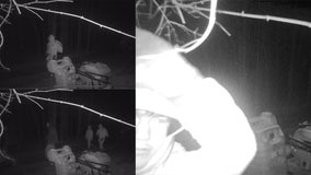 Glenlore Trails in Commerce Township vandalized