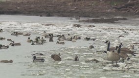 Officials remind people to stay off the ice after ice rescue in Riverview