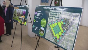 Construction on Detroit solar arrays to begin in 2025 as site renderings revealed Thursday