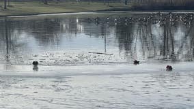 Warmer temps prompt ice warning in Metro Detroit after skater falls into pond