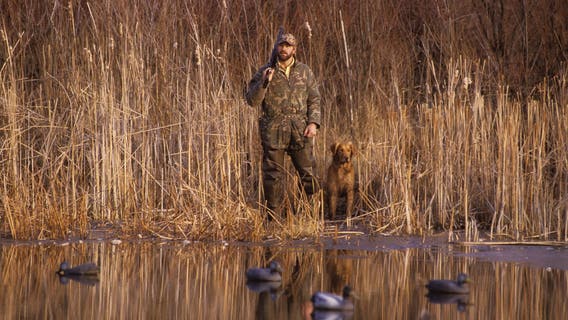 Bill raising Michigan hunting and fishing licenses prices clears committee