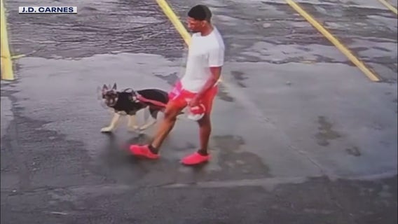 Metro Detroit animal control employee under investigation after vulgar text