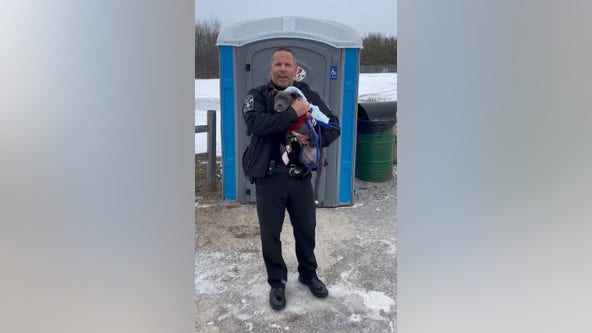 Puppy found abandoned in freezing porta potty at Michigan park