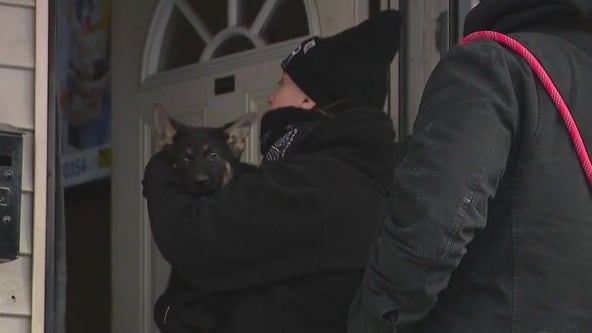 Metro Detroit deep freeze: How rescuers are saving dogs from the cold