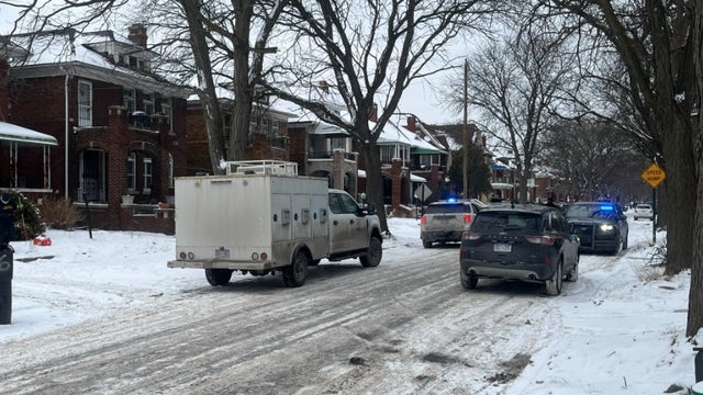 Detroit 4-year-old shoots self in hand, multiple guns found in home