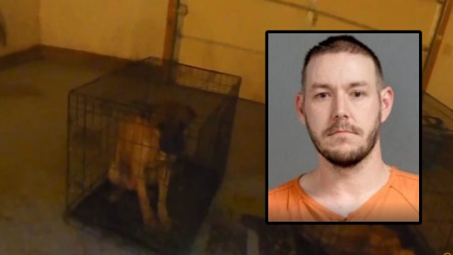 Genesee County man charged after 2 starved dogs found abandoned in filthy cages