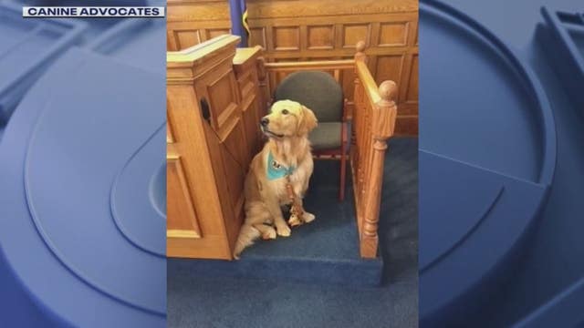 Expanded use of therapy dogs in court by state questioned by some experts