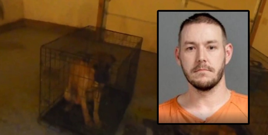 Genesee County man charged after 2 starved dogs found abandoned in filthy cages