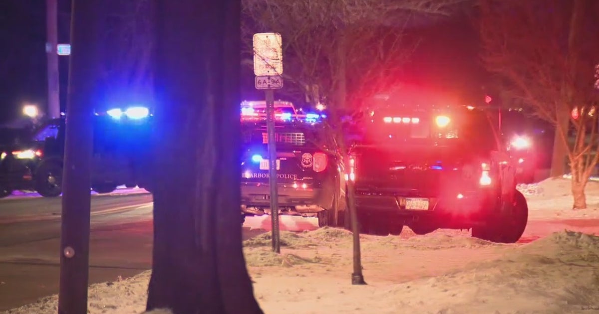 Woman fatally shot in Dearborn road rage incident, 3 persons of ...