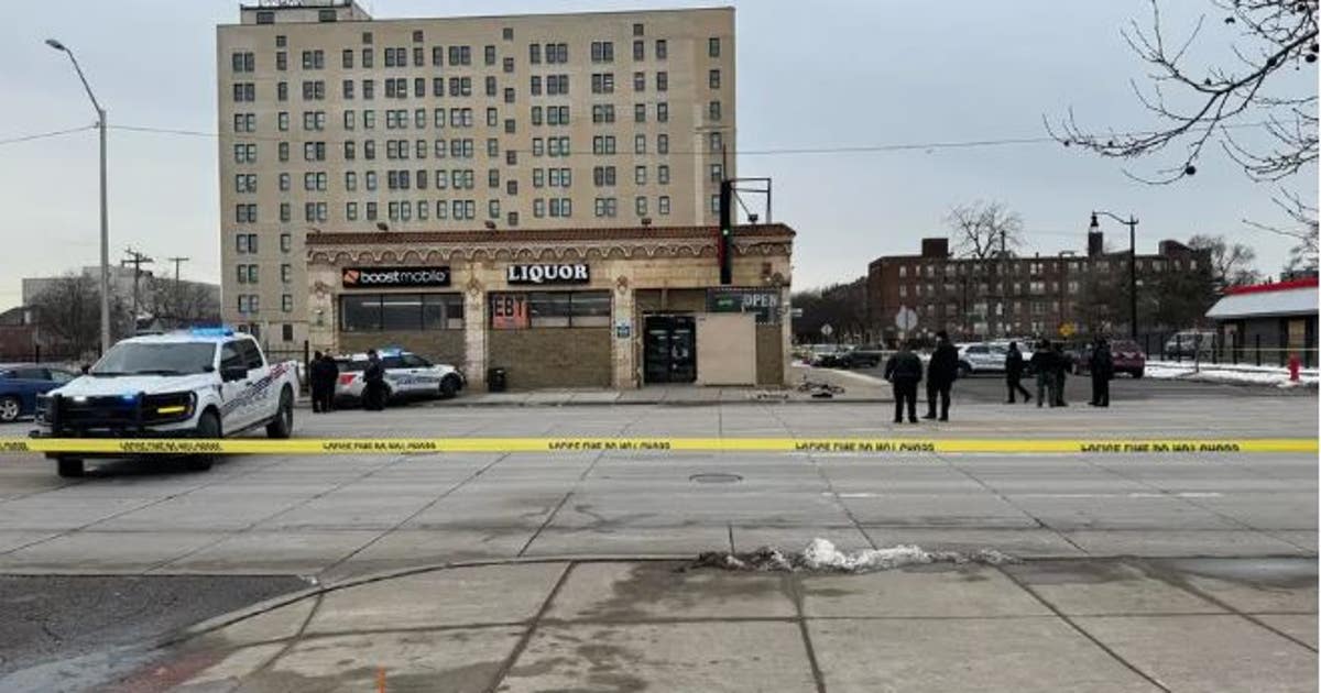 2 teens charged in 'targeted hit' of man leaving Detroit party store ...