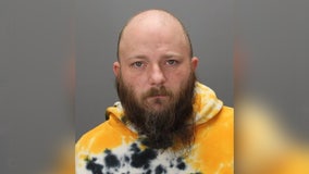 Taylor man charged in hit-and-run that killed dog