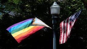 Michigan lawmaker urges US Supreme Court to overturn gay marriage ruling