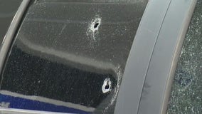 Sterling Heights shooting leaves truck riddled with bullets