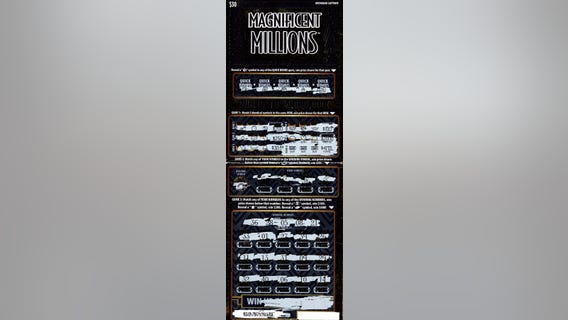 Man discovers Michigan Lottery ticket is $4M winner after scanning it 'just to make sure'