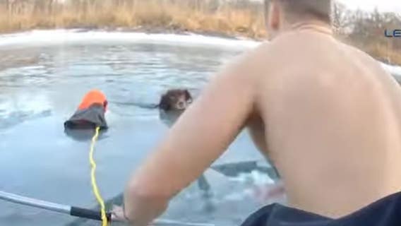 Video: Trenton police rescue dog from icy water at Elizabeth Park
