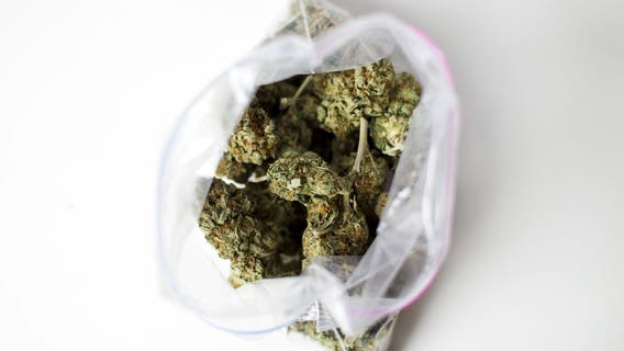 Michigan sending $100 million in marijuana tax revenue to cities, townships, and counties