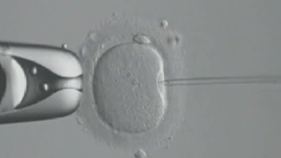 Steep IVF costs for hopeful parents may get reduced by Trump Administration