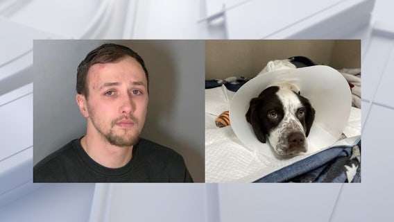 Michigan man charged with animal torture after 3-month-old puppy found with fractured skull