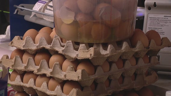 Bird Flu impacts: Metro Detroit business feeling pains from the cost of eggs