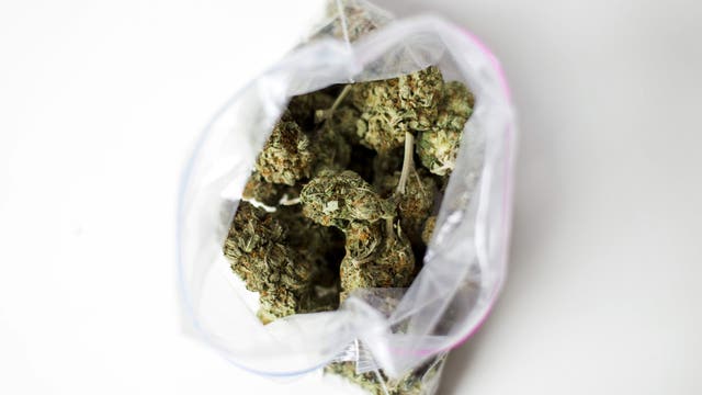 Michigan sending $100 million in marijuana tax revenue to cities, townships, and counties