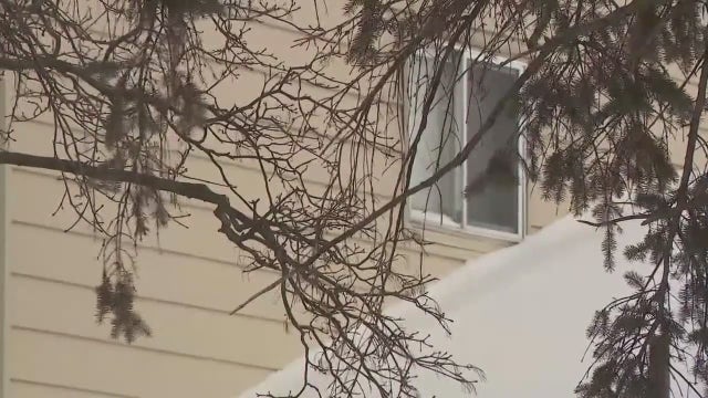 Oakland County Sheriff raising funds as abandoned kids heal following rescue